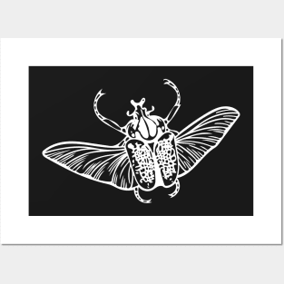 Goliath Beetle Posters and Art